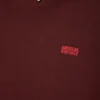 Felpa unisex Izubird “AMV X Rollercoaster” Codice: IZU03DMKTE26