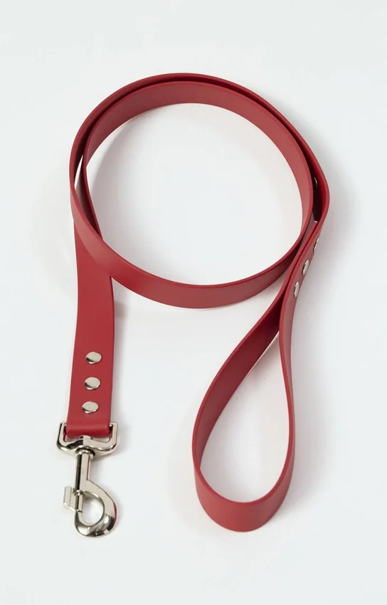 Guinzaglio per cani AMV DOGS Codice: LAISSECHIENH26