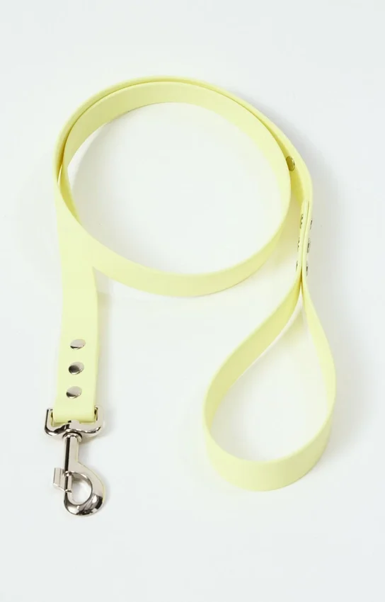 Guinzaglio per cani AMV DOGS Codice: LAISSECHIENH26