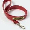 Guinzaglio per cani AMV DOGS Codice: LAISSECHIENH26
