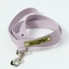 Guinzaglio per cani AMV DOGS Codice: LAISSECHIENH26