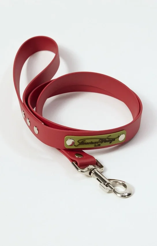 Guinzaglio per cani AMV DOGS Codice: LAISSECHIENH26