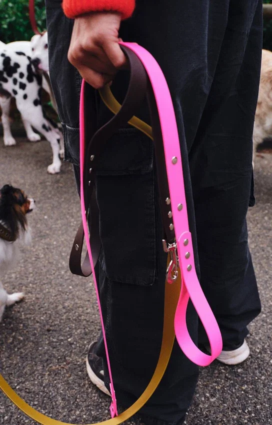 Guinzaglio per cani AMV DOGS Codice: LAISSECHIENH26