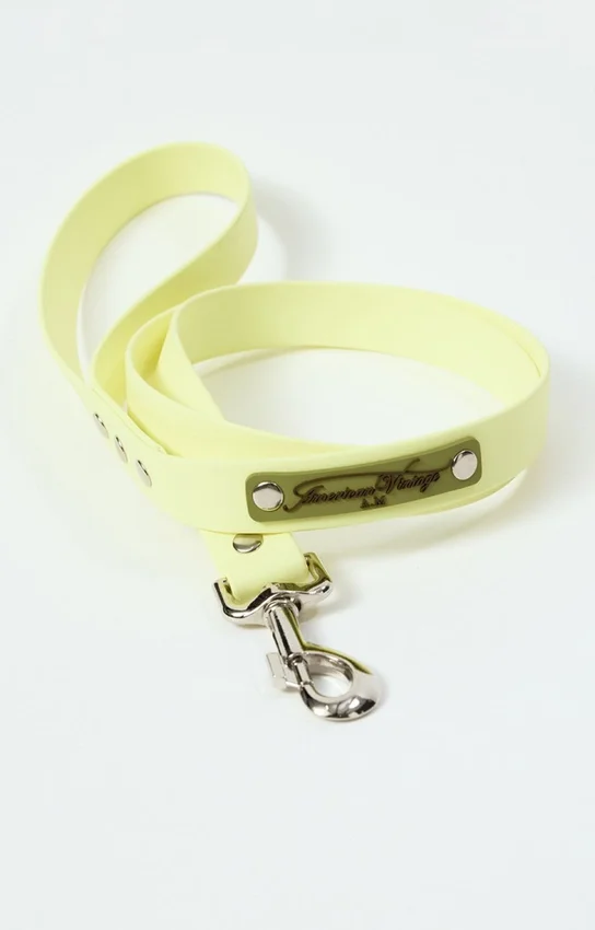 Guinzaglio per cani AMV DOGS Codice: LAISSECHIENH26